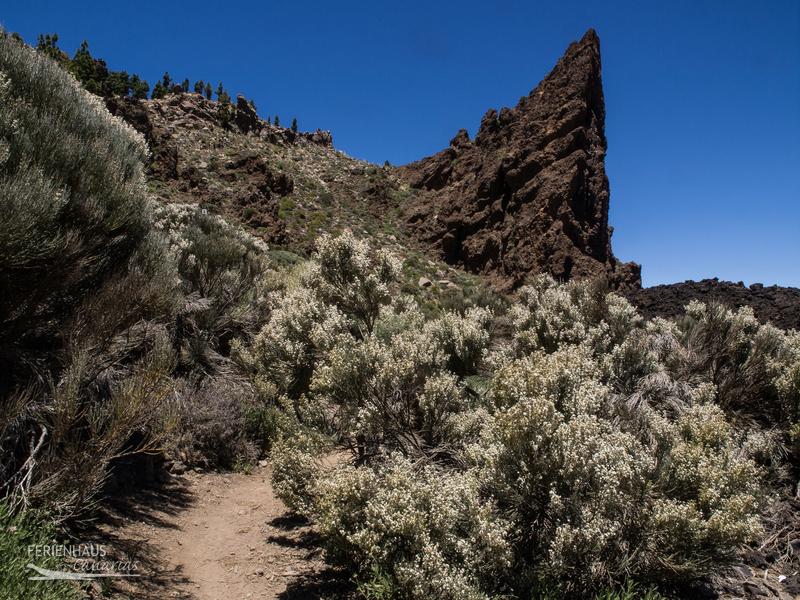 Teide Nationalpark Teide Nationalpark