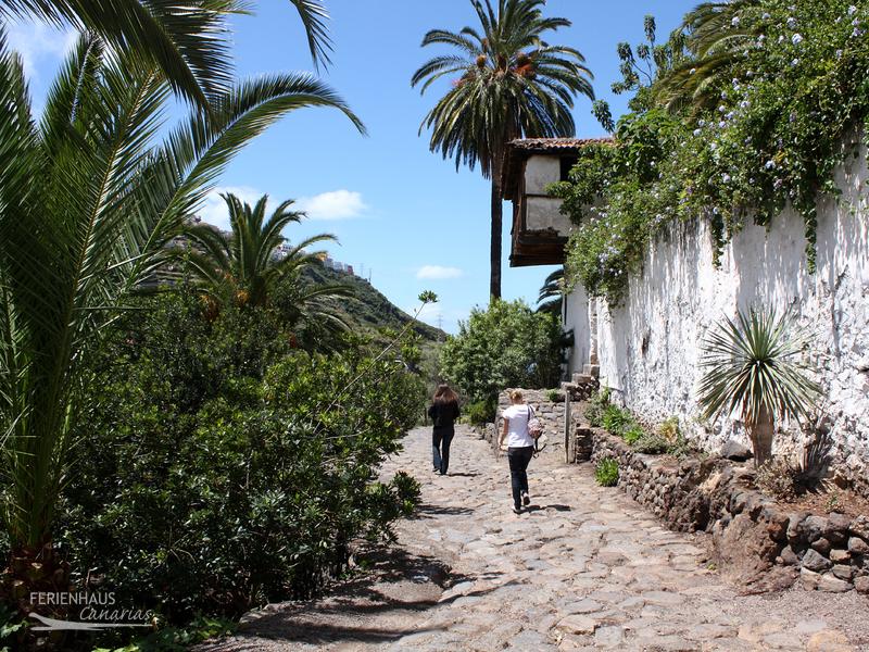 Parque del Drago in Icod de los Vinos Parque del Drago in Icod de los Vinos