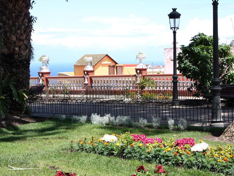 Park in Icod de los Vinos Park in Icod de los Vinos