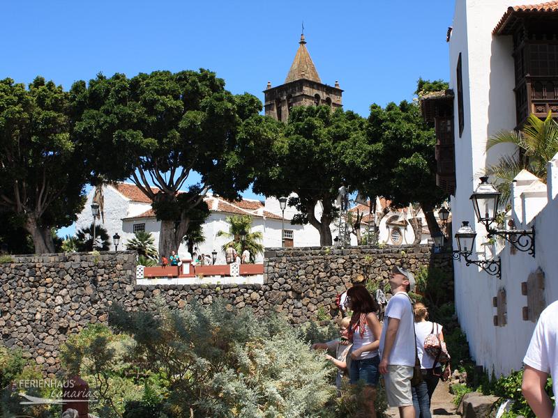 Der Paque del Drago in Icod de los Vinos Der Paque del Drago in Icod de los Vinos