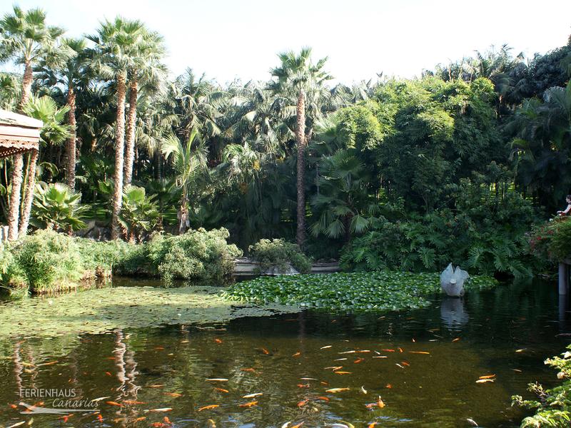 Teich mit Koi-Karpfen im im Loro Park Teich mit Koi-Karpfen im im Loro Park