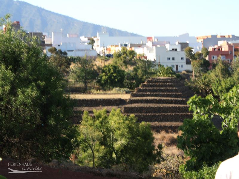Garten im Gelände der Pyramiden von Güimar