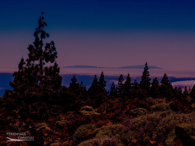 Teide Nationalpark Teide Nationalpark