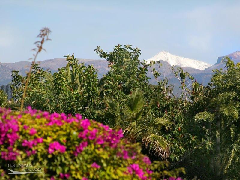 Teneriffa im Frühling Teneriffa im Frühling