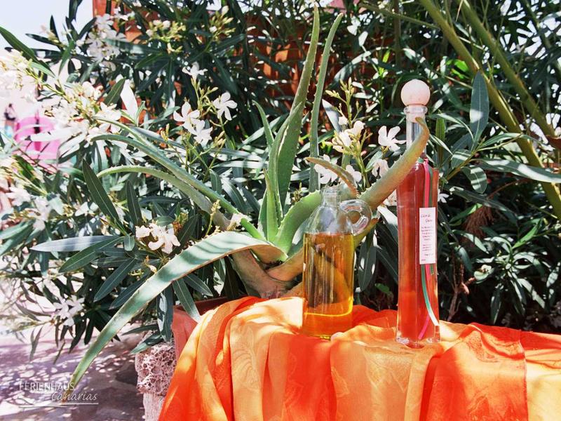 Aloevera und Aloevera Produkt Aloevera und Aloevera Produkt