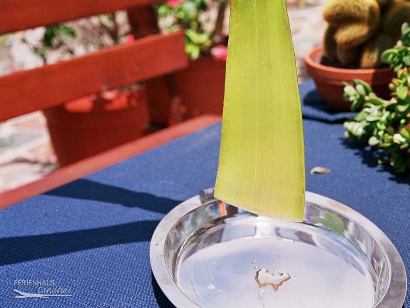 Aloe Vera - Saft Aloe Vera - Saft