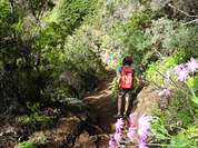 Wandern und Walking Festival 2019 auf Teneriffa