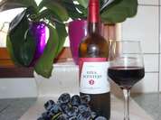 Monat des Weins in La Laguna