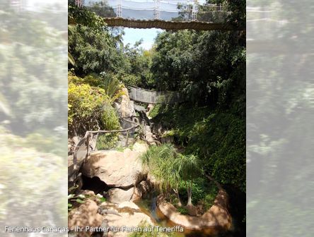 Jungle Park auf Teneriffa
