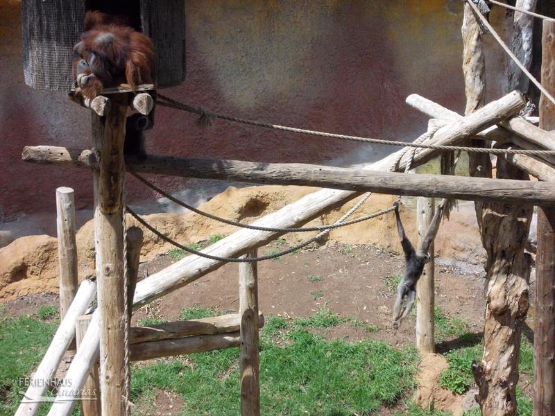 Jungel Park + Aquilla Park Jungel Park + Aquilla Park