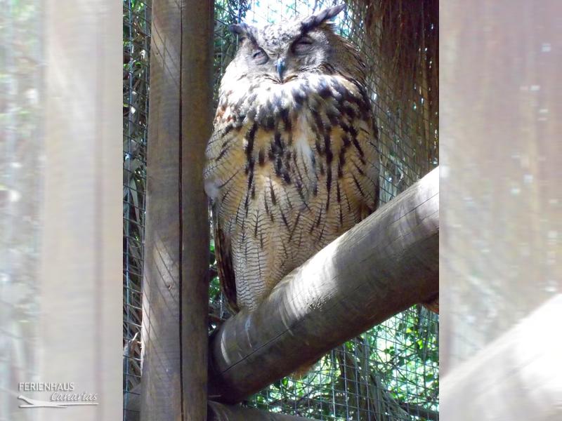 Jungel Park + Aquilla Park Jungel Park + Aquilla Park