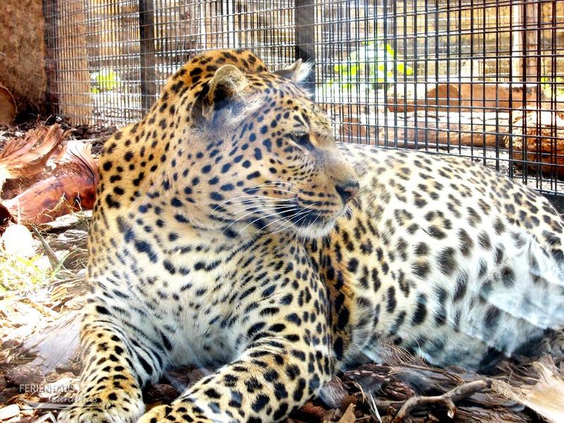 Jungel Park + Aquilla Park Jungel Park + Aquilla Park