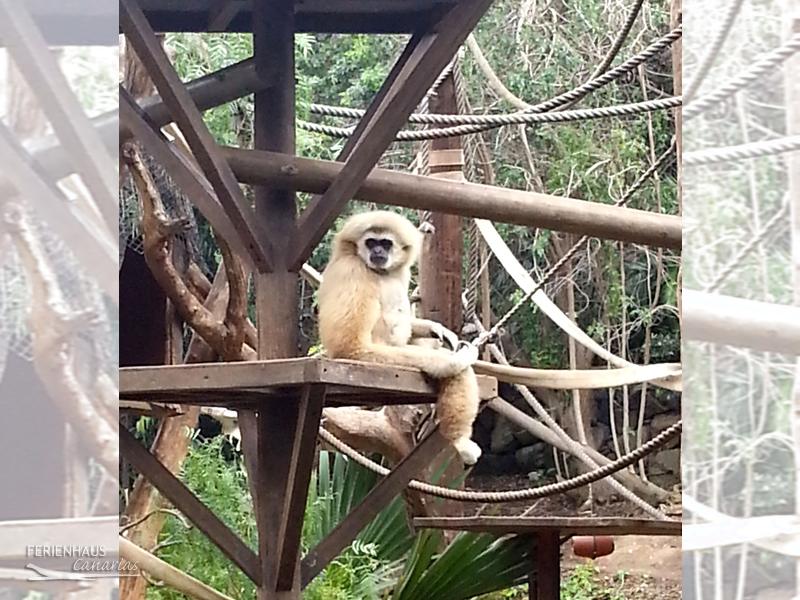 Jungel Park + Aquilla Park Jungel Park + Aquilla Park