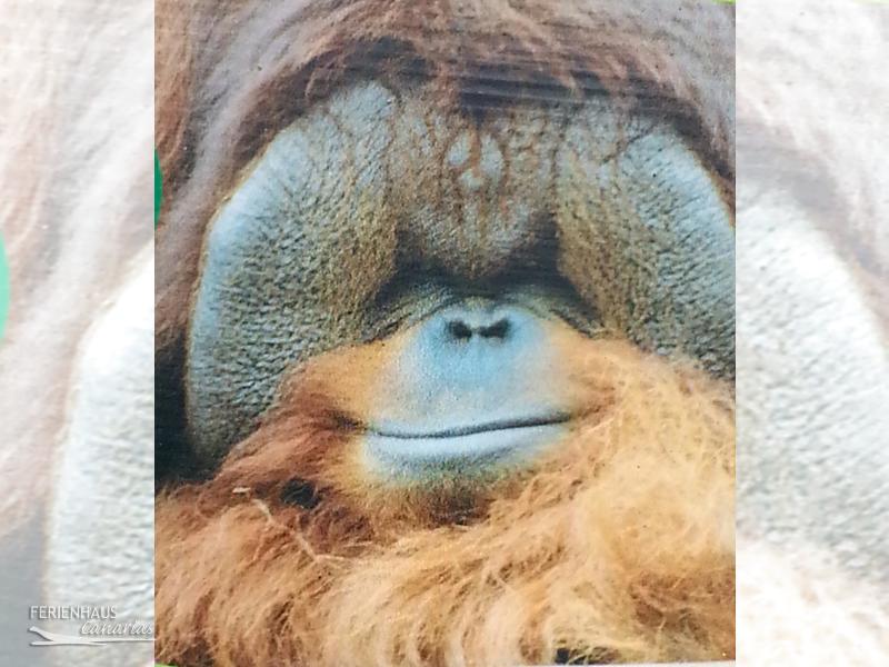 Jungel Park + Aquilla Park Jungel Park + Aquilla Park