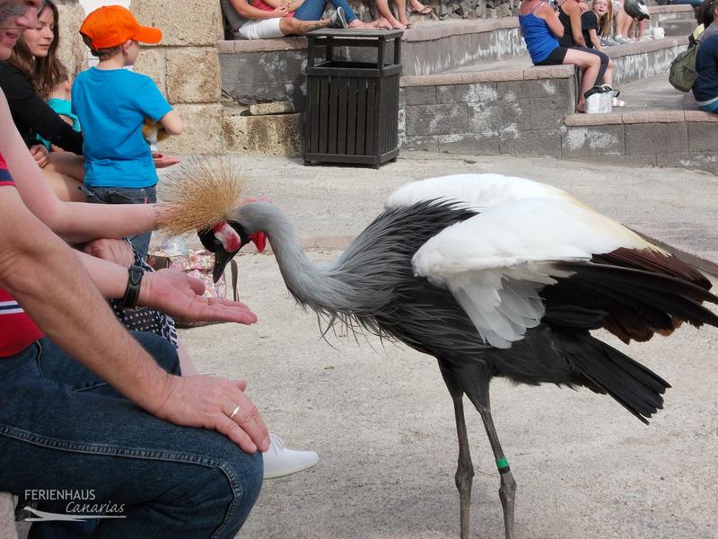 Jungel Park + Aquilla Park Jungel Park + Aquilla Park