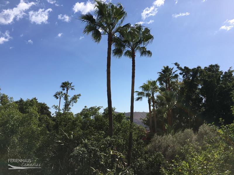 Jungel Park + Aquilla Park Jungel Park + Aquilla Park