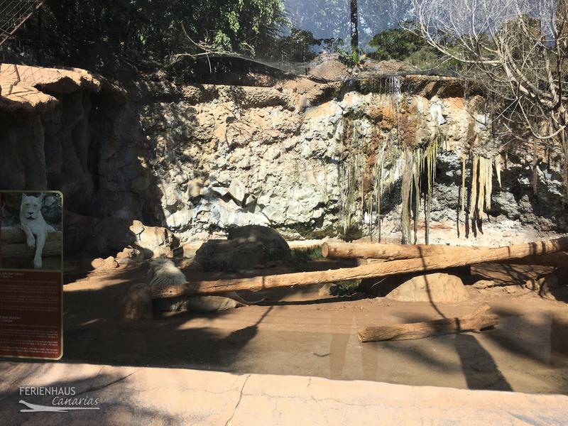 Gehege im Jungel Park + Aquilla Park Gehege im Jungel Park + Aquilla Park