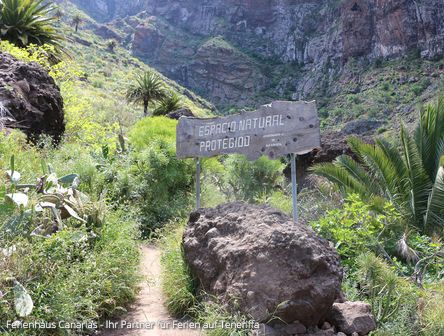 Wandern durch die Masca-Schlucht | Teneriffa