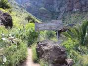 Wanderung durch die Masca-Schlucht auf Teneriffa