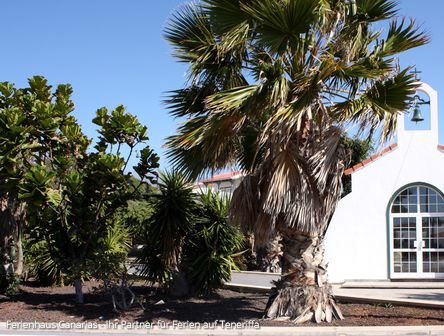 Teneriffa und das Dorf der Aussätzigen | Geisterstadt in Panoramalage