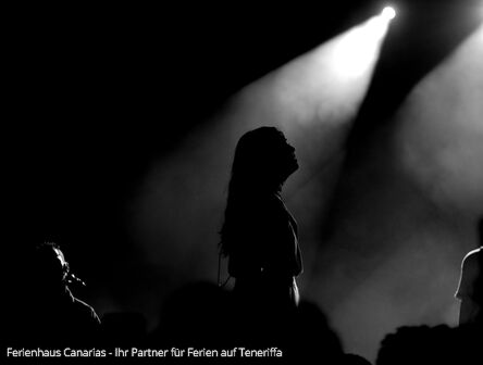 Blick auf eine S&auml;ngerin bei einem Konzert