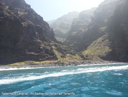 ♥ Delfine und Wale ♥ - Whale watching auf Teneriffa - Bootstour!