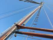 Bootstour auf Teneriffa - Delfine und Wale