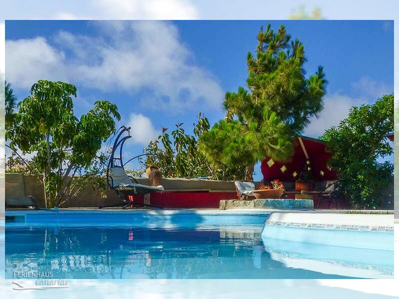 Finca La Paz - Pool Finca La Paz - Pool