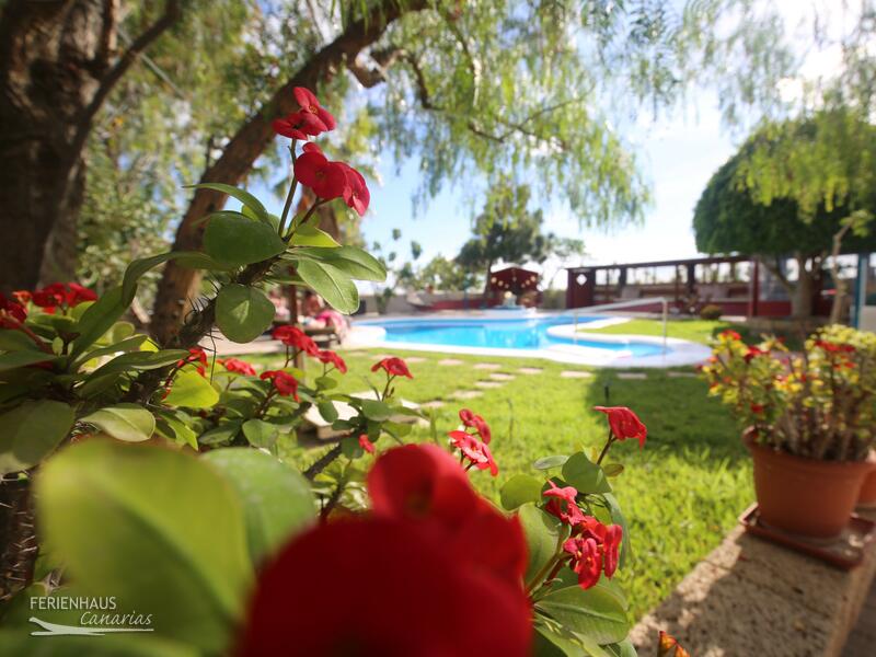Finca La Paz - Poolterrasse Finca La Paz - Poolterrasse
