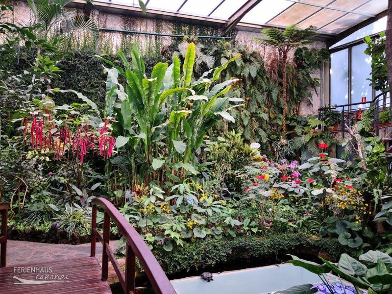 Schmetterlingpark Mariposa in Icod de los Vinos Schmetterlingpark Mariposa in Icod de los Vinos