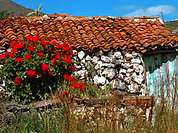 Casa Rurals im Ort Tamaimo Casa Rurals im Ort Tamaimo