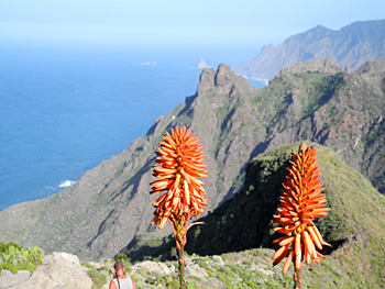 Teneriffas-Landschaft - Masca Blick